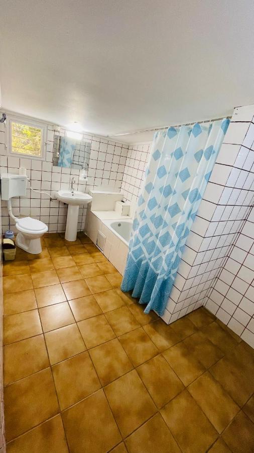 Pensiunea Luminita Busteni Ngoại thất bức ảnh